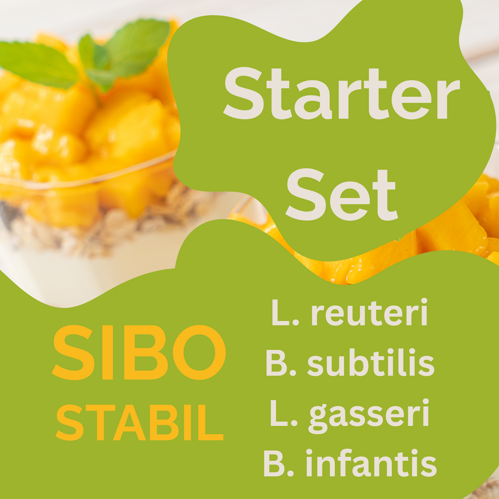 Set de start „SIBO Stabil" | L. reuteri, B. subtilis, L. gasseri, B. infantis-Iaurt